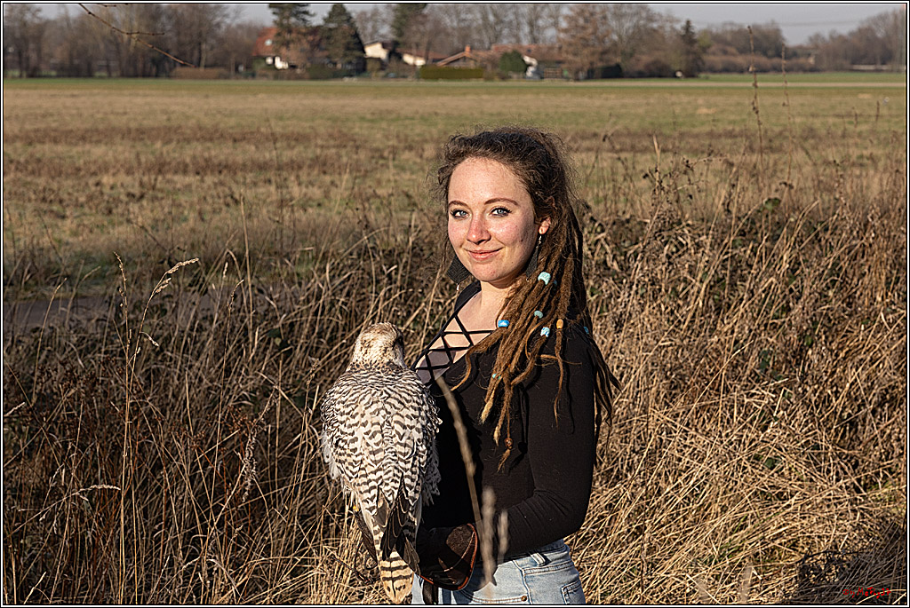 Cheyenne-Halbblut Hunting Wolf in der Falknerei Pierre Schmidt; Gymnich, 09.02.2023